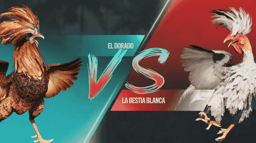 bet595 Plataforma Exclusiva e Jogos Populares